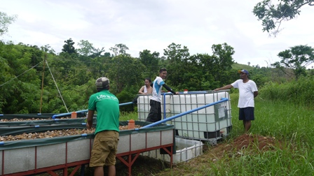 Aquaphonice Model Farm